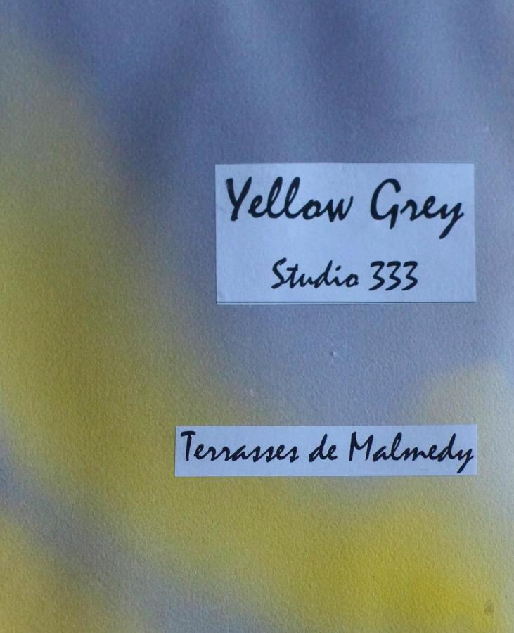 Les terrasses de Malmedy Studio 333 Yellow Grey Extérieur photo